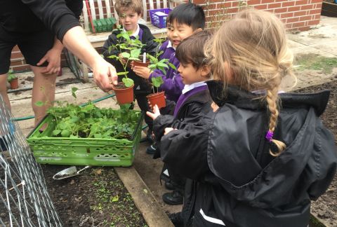 Proud of her Planting-Mad Pre-Prep