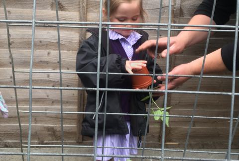 Proud of her Planting-Mad Pre-Prep