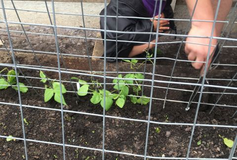 Proud of her Planting-Mad Pre-Prep