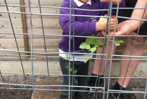 Proud of her Planting-Mad Pre-Prep