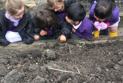 Proud of her Planting-Mad Pre-Prep