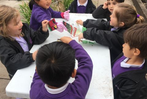 Proud of her Planting-Mad Pre-Prep