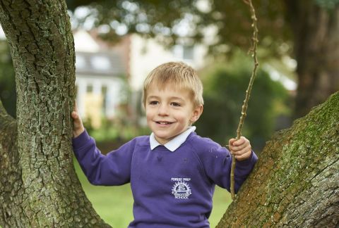 Pre-Prep Proving Learning Can be Fun!